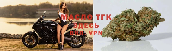 гидропоника Горняк