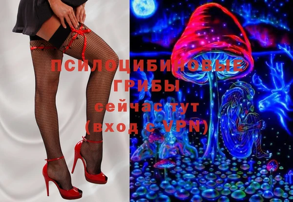 гидропоника Горняк